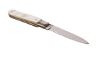 Antique Sheffield Mini Miniature Carved MOP Mother of Pearl Pocket Pen Knife Floral Design Stunning