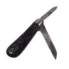 Antique Taylor Eye Witness Sheffield Pocket Knife Celluloid Stag Horn Scales Needham, Veall & Tyzack