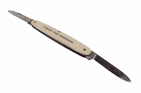 Antique Wards Sheffield Folding Folder Souvenir Pocket Knife Present from Morecambe Ivorine 1920s