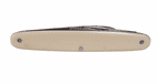 Antique Wards Sheffield Folding Folder Souvenir Pocket Knife Present from Morecambe Ivorine 1920s