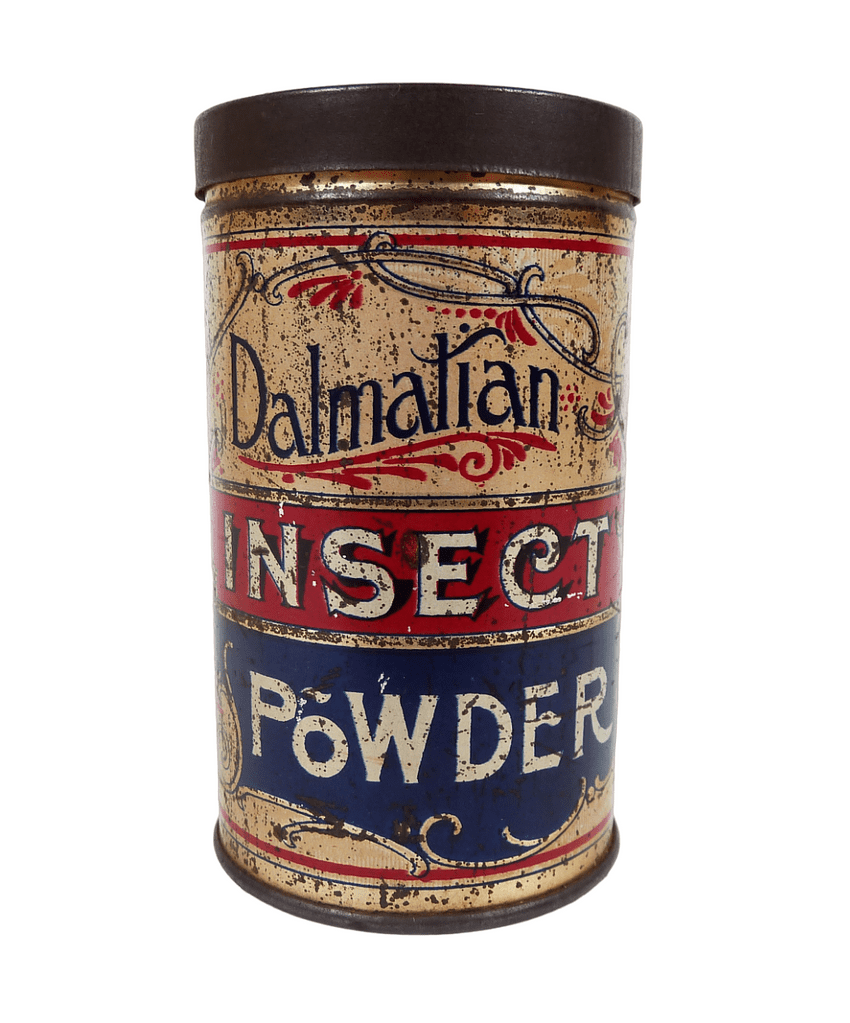 Scarce Antique Dalmatian Insect Powder Tin c/w Contents G&T Coward Carlisle 1900s Litho