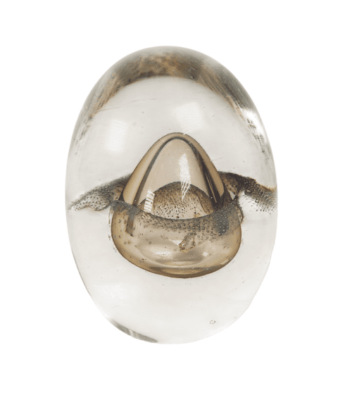 Vintage 1982 Atelier Pavel Molnar Studio Werkstatte Glass Paperweight Signed AM 82 Original Label
