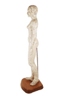 Vintage Anatomical Acupuncture Points Figure Model Female Form Human Body Training Aid Display