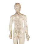 Vintage Anatomical Acupuncture Points Figure Model Female Form Human Body Training Aid Display
