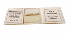 Vintage Boxed NBS Microslides Microscope Slides 6/B Set Insects & Spiders Whole Part Circa 1970s