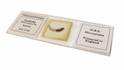 Vintage Boxed NBS Microslides Microscope Slides 6/B Set Insects & Spiders Whole Part Circa 1970s