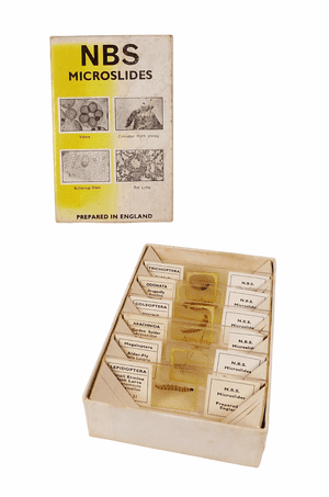 Vintage Boxed NBS Microslides Microscope Slides 6/B Set Insects & Spiders Whole Part Circa 1970s