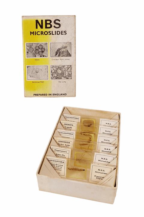 Vintage Boxed NBS Microslides Microscope Slides 6/B Set Insects & Spiders Whole Part Circa 1970s