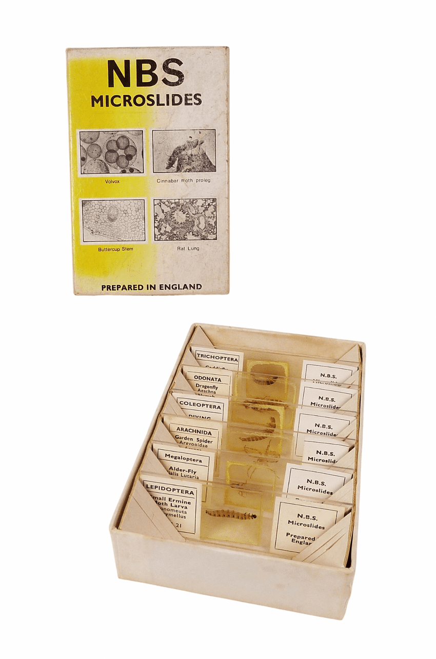 Vintage Boxed NBS Microslides Microscope Slides 6/B Set Insects & Spiders Whole Part Circa 1970s
