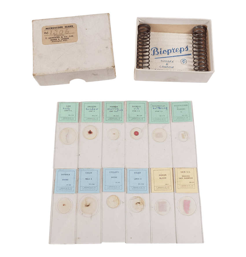 Vintage Boxed T Gerrard Sussex London Microscope Slides 1306 Set Circa 1960s Skin Blood Stem Etc