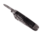 Vintage Camillus Cutlery Co New York USA Three Blade Pocket Knife Knive Celluloid Stag Horn Scales