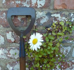 Vintage Gardening Tool Early 20th Century English Long Wood Handle Dutch Hoe Sturdy Strong Blue