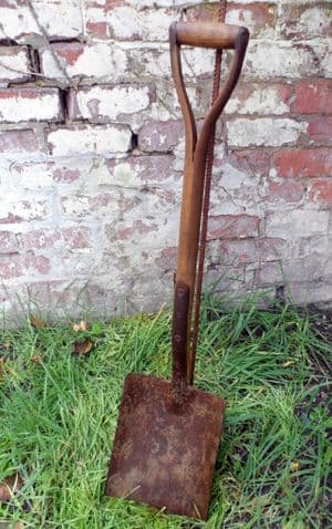 Vintage Gardening Tool Long Y Handle Yard Bentwood Large Spade Circa 1930s Solid & Sturdy