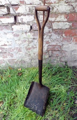 Vintage Gardening Tool Long Y Handle Yard Shovel Circa 1930s Coal Mucking Out Solid & Sturdy