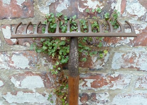 Vintage Gardening Tool Thick Wooden Handled 12 Tine Garden Rake Circa 1950s Sturdy Shaped Handle