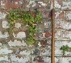 Vintage Gardening Tool Wooden Long Handled Stirrup Hoe Oscillating Scuffle 57.5