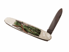 Vintage Jowika Rep Ireland Horseshoe Pass Wales Folding Folder Pocket Knife Souvenir Pictorial