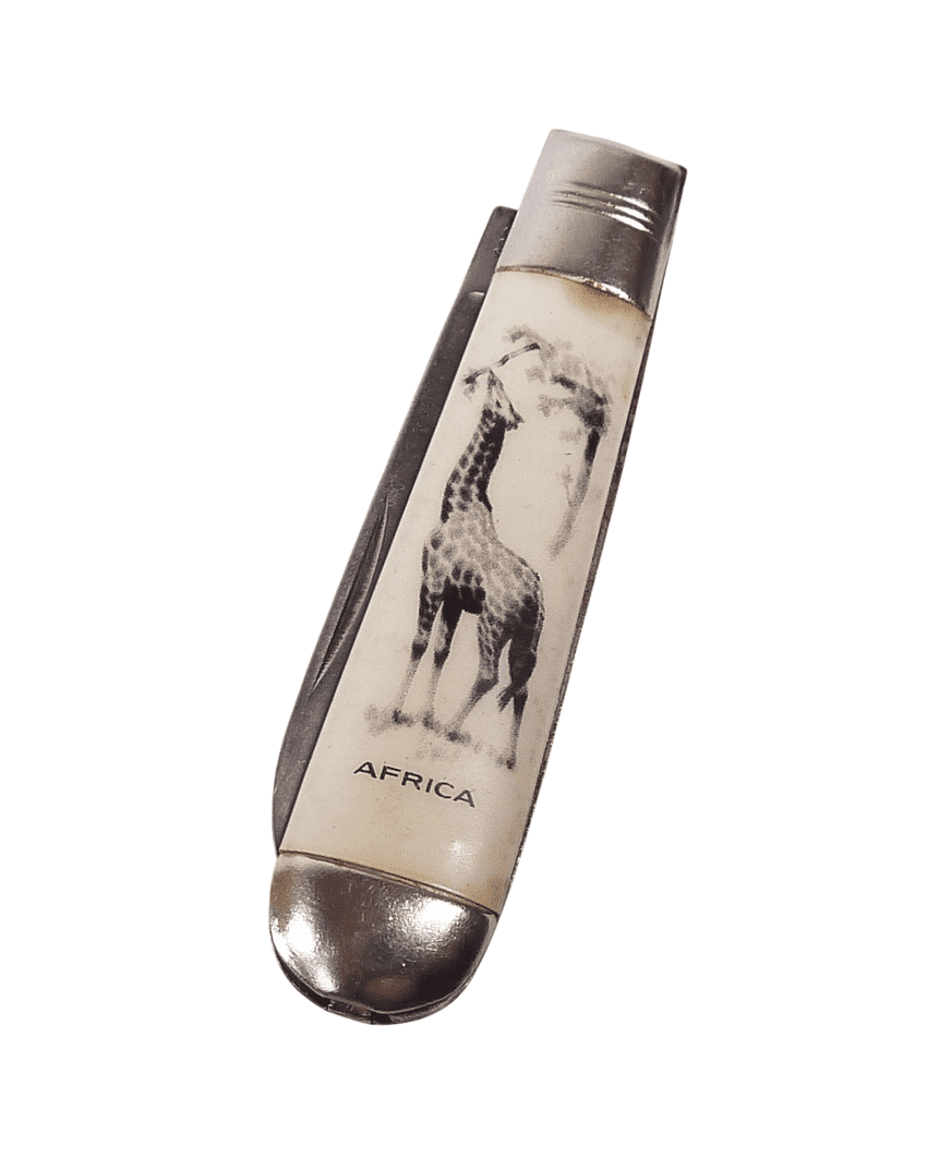 Vintage Richards Sheffield Folding Folder Pocket Knife Africa Souvenir Giraffe Lamppost Pictorial
