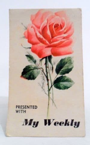 Vintage Sewing Presented with my Weekly Needle Book Case Needles Threader 1970s Roses