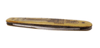 Vintage Souvenir Solingen Celluloid Pocket Knife Berlin Siegessaule Victory Column Pictorial