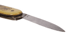 Vintage Souvenir Solingen Celluloid Pocket Knife Berlin Siegessaule Victory Column Pictorial