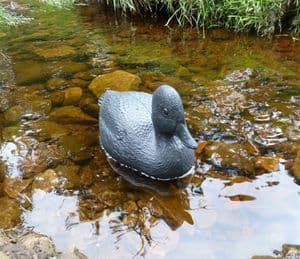 Vintage Sport Plast Made in Italy Plastic Decoy Duck Pond Decoration Display Floats Italian Sporting