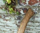 Vintage Tool Long Handled 7lb Bullock Bros Walsall GPO 1968 Felling Axe Wood Shaft Chopping Phone
