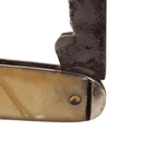 Vintage White Celluloid Shield Cartouche Folding Folder Pocket Pen Knife Forged Steel Foreign 1930s