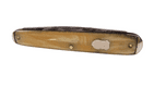 Vintage White Celluloid Shield Cartouche Folding Folder Pocket Pen Knife Forged Steel Foreign 1930s