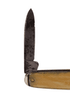 Vintage White Celluloid Shield Cartouche Folding Folder Pocket Pen Knife Forged Steel Foreign 1930s