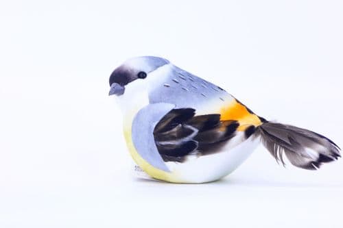 Coloured Titmouse Bird 19cm PACK OF 6 £2.50 EACH