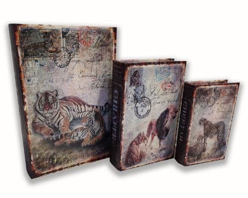 Safari Book Box Set Of 3