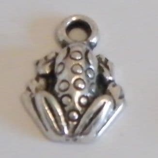 Frog Personalised Keyring