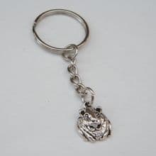 Guinea Pig Keyrings