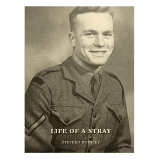 'Life of a Stray'