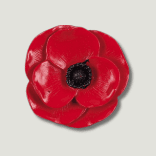 Poppy Magnet