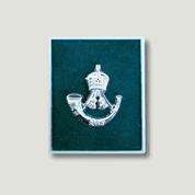 Rifles Lapel Pin
