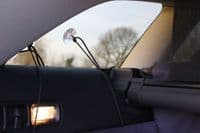 Bootliner Suction Cups