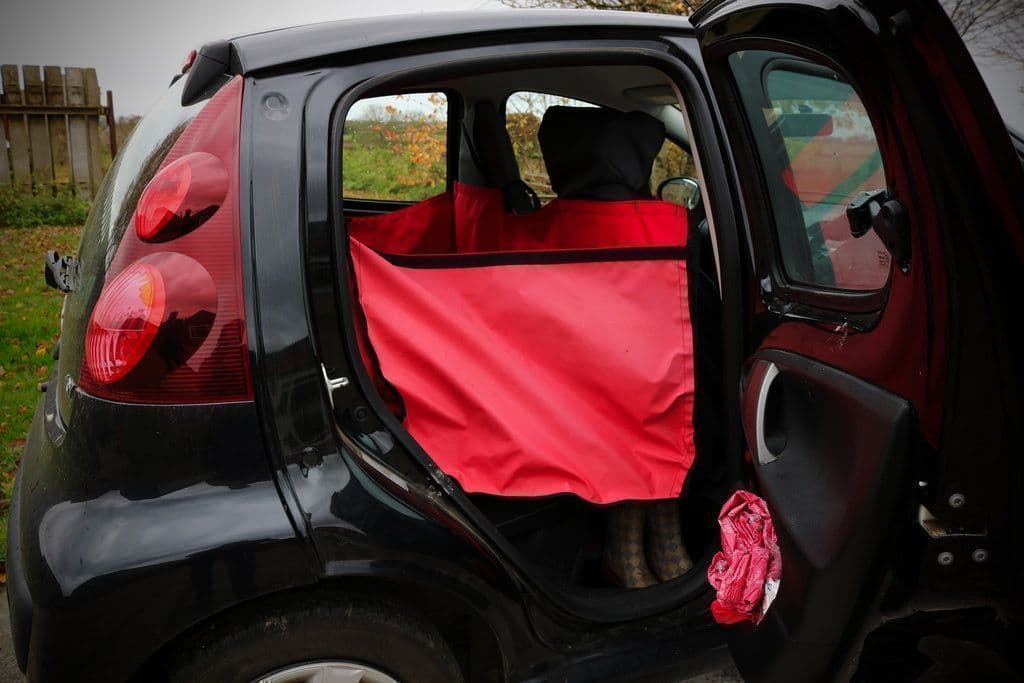 Volkswagen Rear Seat Dog Hammock
