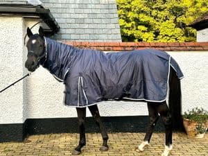 150 Gram 1680 Denier Full Neck Turnout Rug