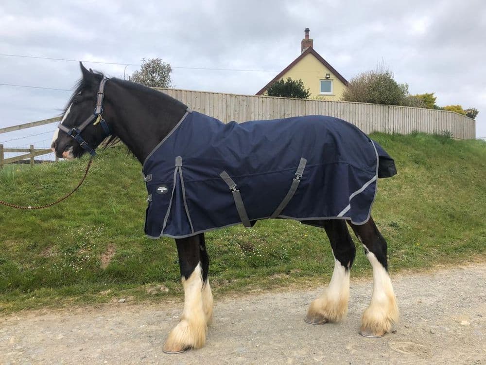 50gram 1200D Turnout Rug Heavy Horse Shire with a standard neck 6 9