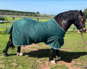 Cotton mix summer sheet Green