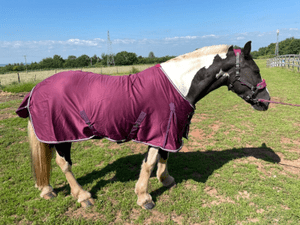 Cotton mix summer sheet Plum