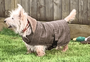 Dog Coat Jacket Green Tweed