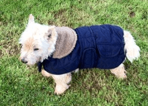 Dog Coat Jacket Quilted and Padded Navy