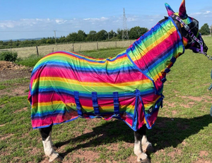 Full Neck Fly Rug Rainbow Pattern