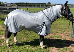 Full Neck Fly Rug- Shetland / Foal Sizes 3'9