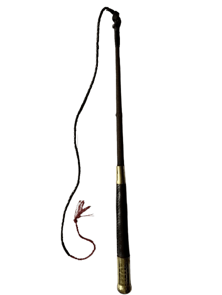 Inhand Whip