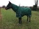 Light / Medium Weight 100gram Full Neck Turnout Horse Rug 1200 Denier