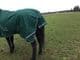 Light / Medium Weight 100gram Full Neck Turnout Horse Rug 1200 Denier
